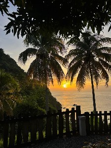 Tobago Nature and half-Day Tour