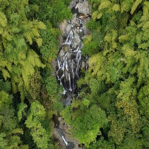 Premium Rainforest Tour