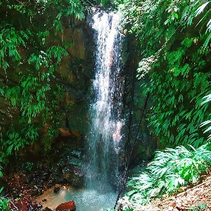 Gilpin Trail Tour