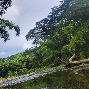 Basic Eco Hike