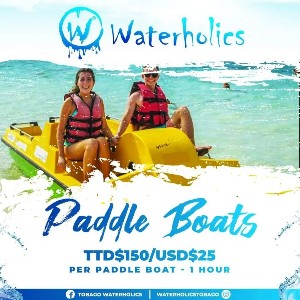 Paddle Boat