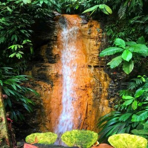 Basic Rainforest Tour